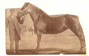 003 opa ca.1911 met paard